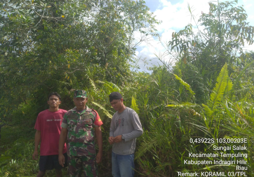 Kondisi Cuaca tak Menentu, Babinsa 03/Tpl Tetap Laksanakan Patroli dan Sosialisasi Karhutla di Wilayah Binaan
