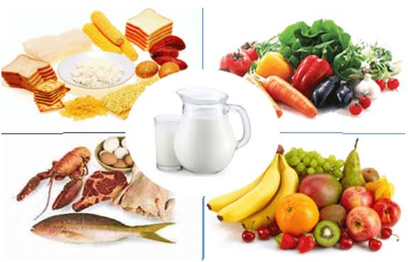 Penuhi Kebutuhan Gizi dan Protein, Kadiskes Inhil Himbau Masyarakat Terapkan Pola Makan 4 sehat 5 Sempurna