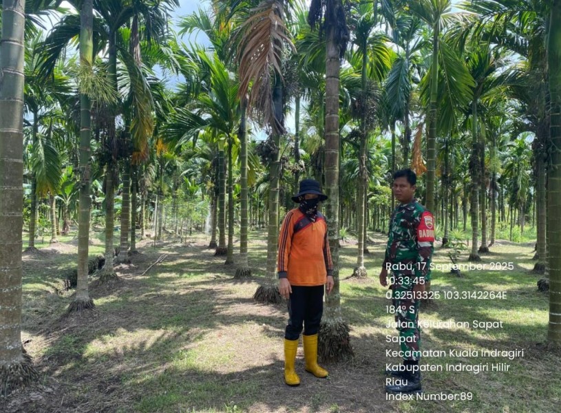 Babinsa Koramil 04/Kuindra Laksanakan Patroli Tapal Batas di Kelurahan Sapat