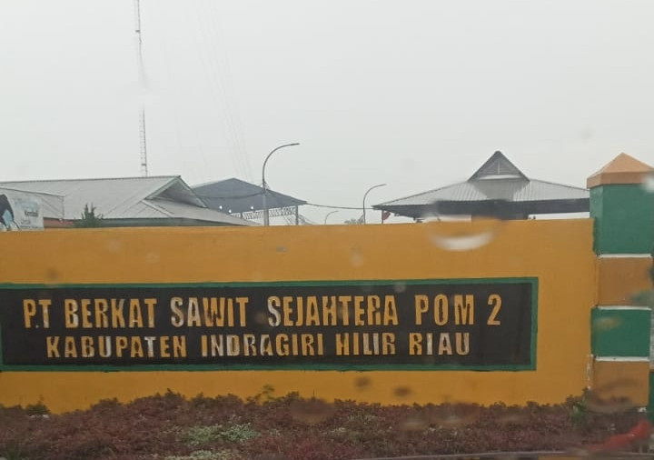 Tak Tersentuh Hukum, Pabrik PT BSS PO 2 Petalongan Olah TBS Dari Kawasan Hutan
