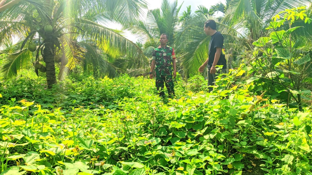 Babinsa Koramil 07/Reteh Laksanakan Patroli Tapal Batas di Desa Tanjung Labuh