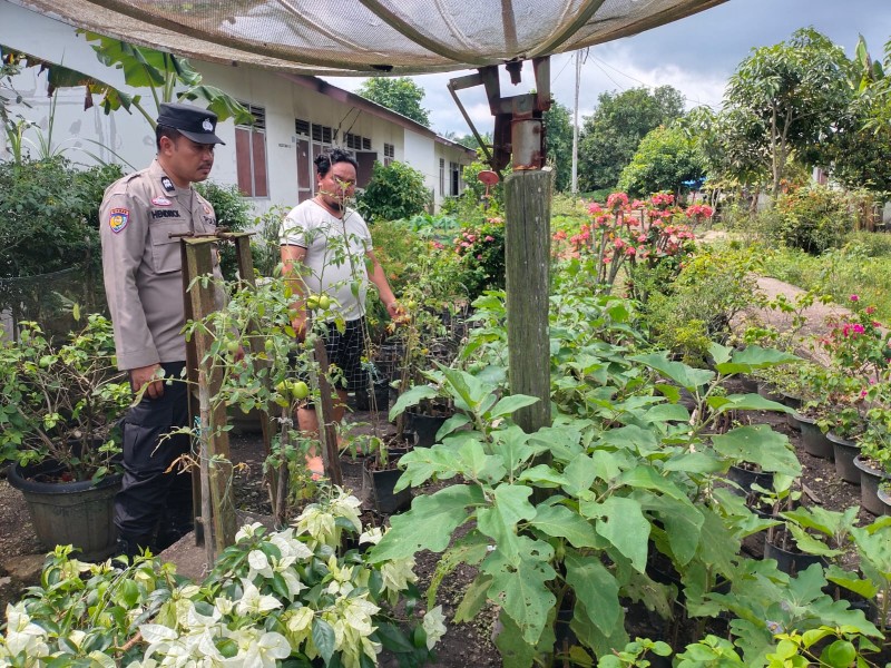 Bhabinkamtibmas Keritang Sambangi Kebun Pekarangan Ahmad, Dorong Ketahanan Pangan dari Dusun Sentosa