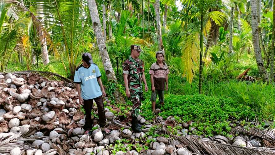 Babinsa Koramil 07/Reteh Cegah Lahan dan Hutan Dari Kebakaran