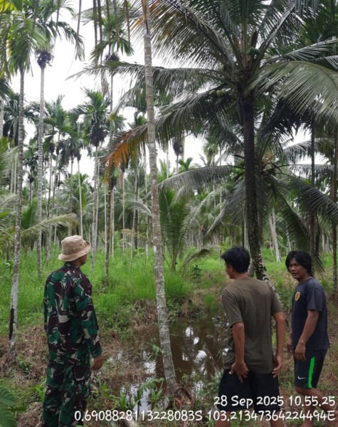 Babinsa Serma Manik Laksanakan Patroli Tapal Batas untuk Mengantisipasi Kebakaran Hutan