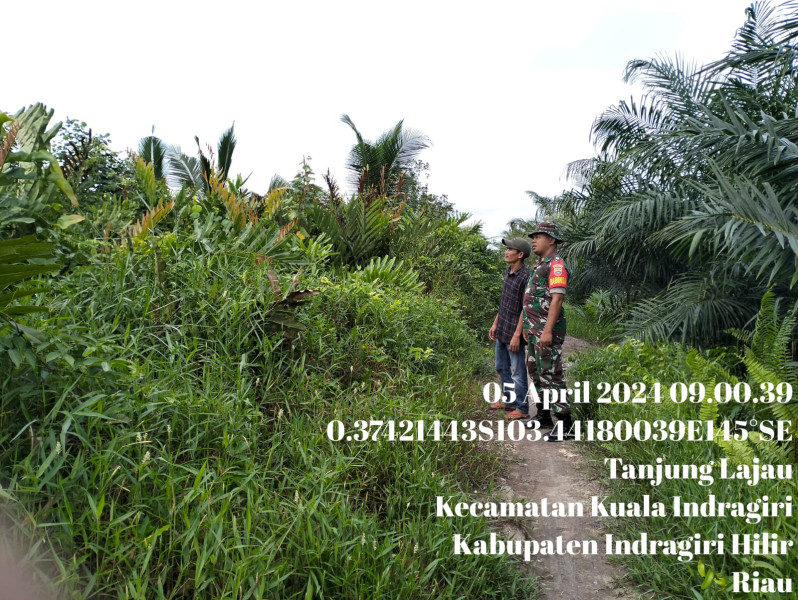 Babinsa Koramil 04/Kuindra Lakukan Pencegahan Kebakaran Lahan dan Hutan Bersama Masyarakat Setempat