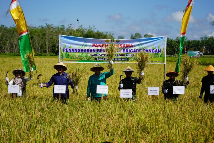 Pj.Sekda hadiri Gelaran Panen Raya dan Tanam Padi serentak di Desa Bayas Jaya