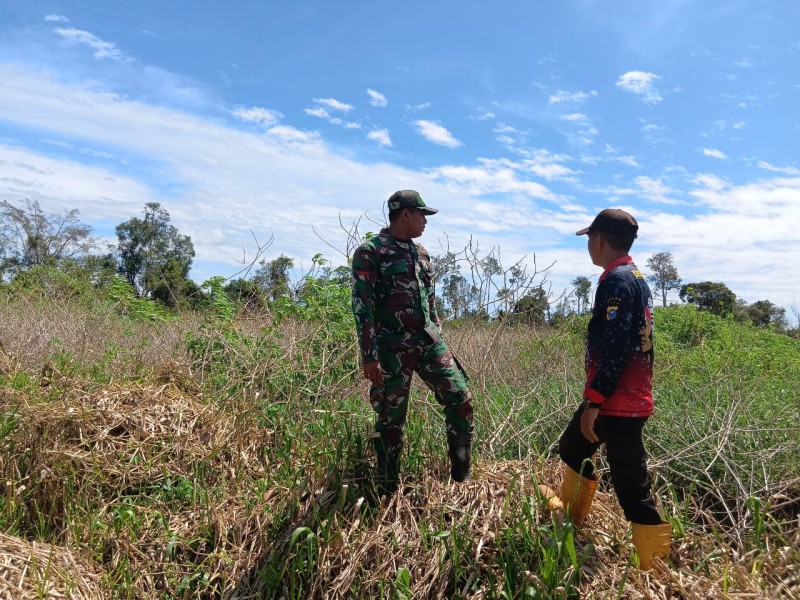 Babinsa 05/Gas Terus Tingkatkan Patroli Karlahut Bersama Masyarakat