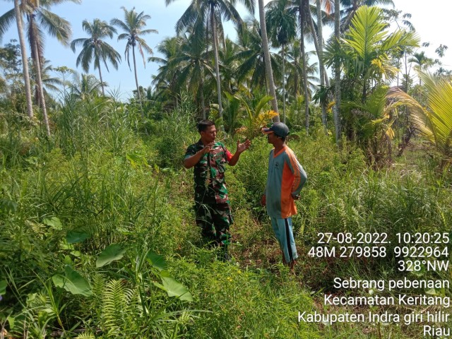 Patroli dan Sosialisasi Karhutla Oleh Babinsa Koramil 09/Kemuning