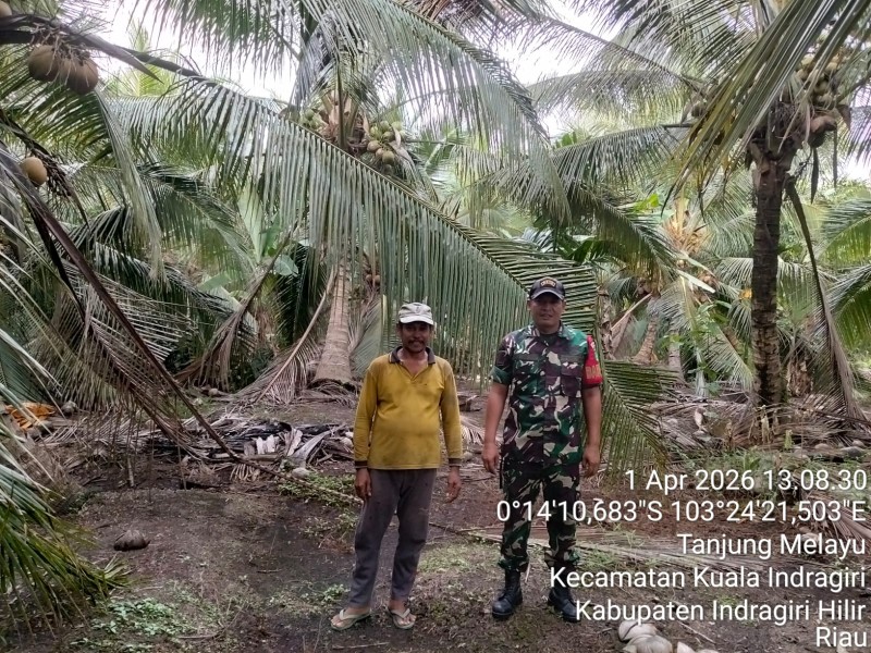 Babinsa Koramil 04/Kuindra Laksanakan Patroli Tapal Batas, Pastikan Bebas Asap