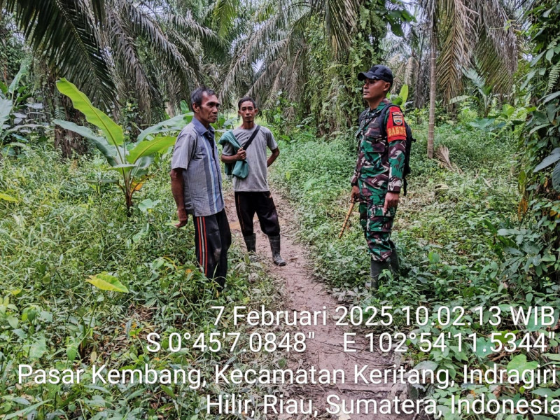 Babinsa Koramil 09/Kemuning Lakukan Patroli Karhutla di Wilayah Desa Petalongan untuk Mencegah Kebakaran Hutan