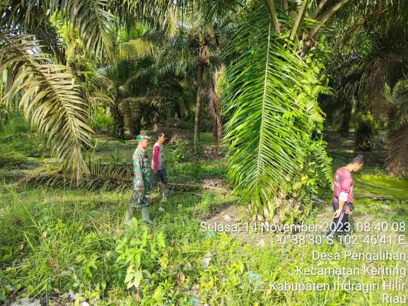 Babinsa Koramil 09/Kemuning Bersama Warga Ikut Turun Untuk Patroli Karlahut
