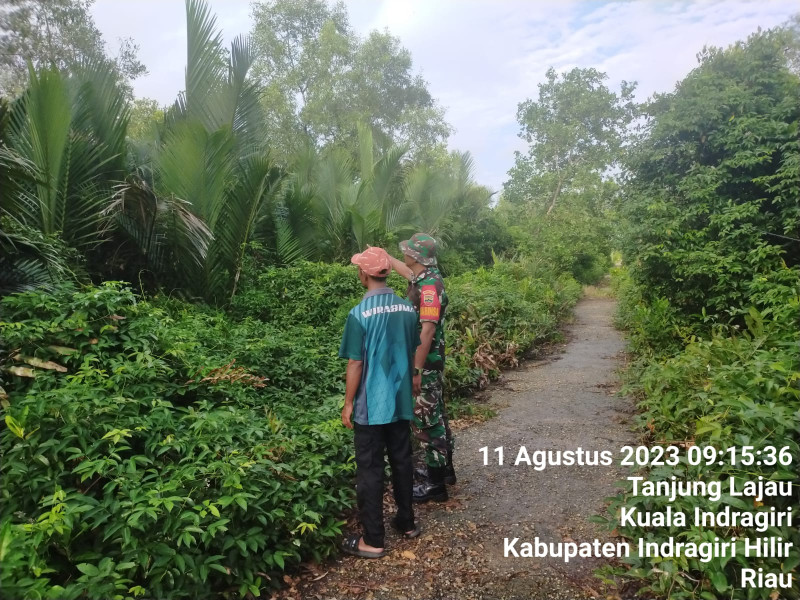 Babinsa Koramil 04/Kuindra Turun Langsung Untuk Lakukan Patroli Karlahut Secara Rutin