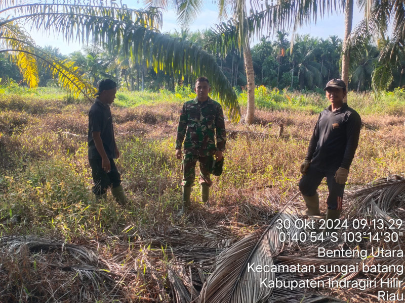 Cegah Hutan dan Lahan Dari Kebakaran Melalui Patroli Dengan Babinsa Koramil 07/Reteh