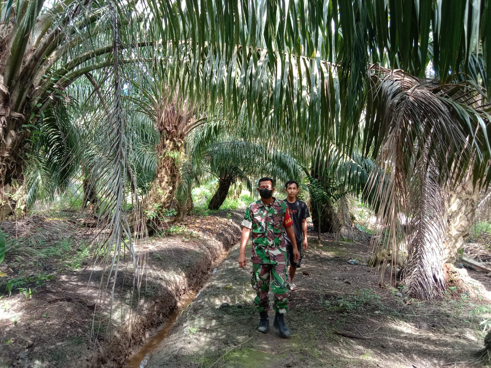 Dampak Yang Timbul Dari Karlahut, Babinsa Koramil 04/Kuindra Lakukan Himbauan