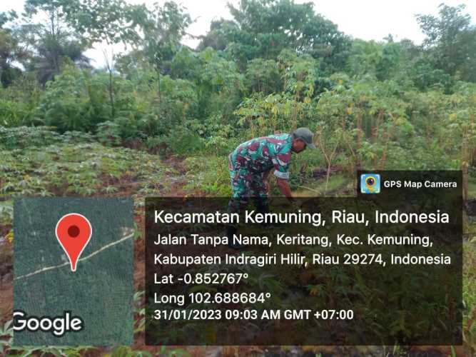 Koramil 09/Kemuning Giat Lakukan Ketahanan Gulma di Di Desa
