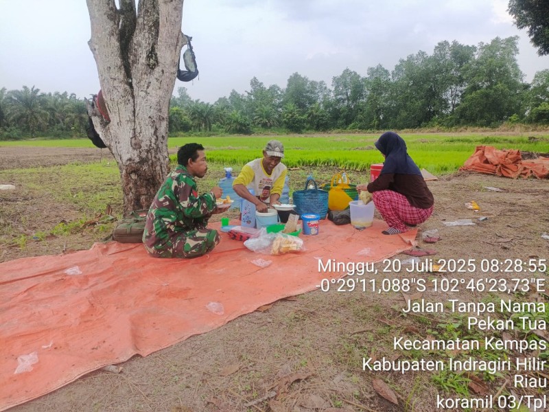 Makan Siang di Sawah: Kopka RH Tambunan dan Petani Berbagi Cerita dan Makanan di Bawah Langit Biru