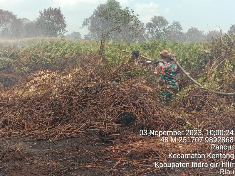 Penanggulangan Karhutla Dilakukan Babinsa Koramil 09/Kemuning Guna Cegah Kebakaran