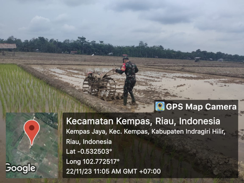 Babinsa 03/Tpl Bantu Petani Bajak Sawah Dengan Traktor