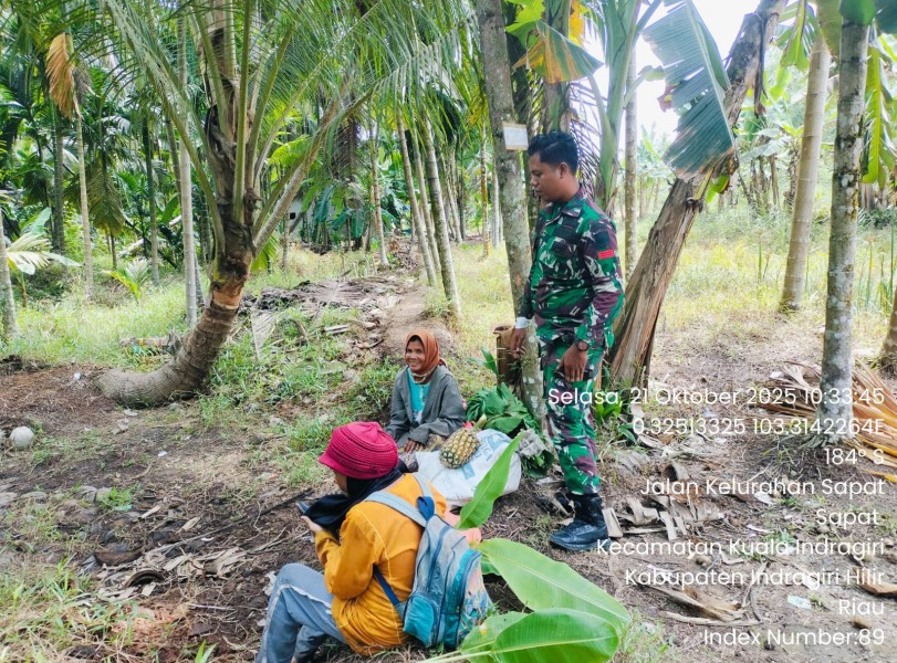 Babinsa Koramil 04/Kuindra Laksanakan Patroli Tapal Batas di Wilayah Kelurahan Sapat
