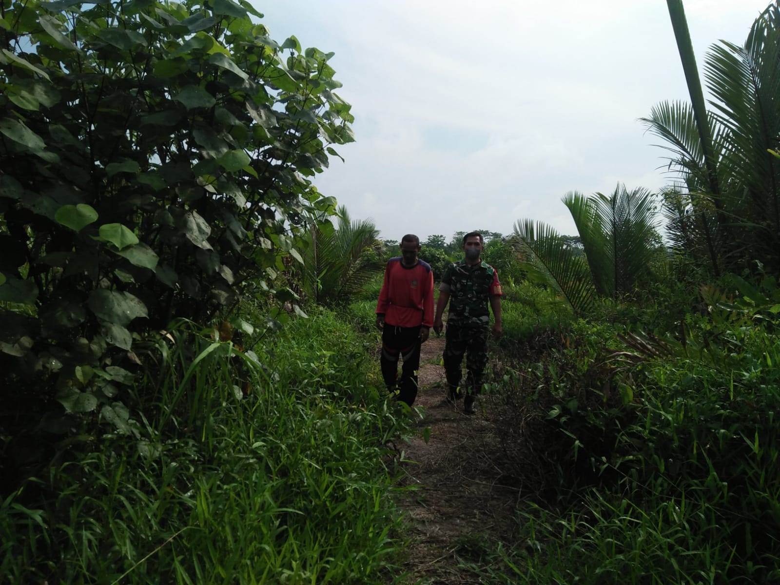 Bersama Masyarakat Adakan Patroli dan Sosialisasi Karhutla Dengan Babinsa Koramil 04/Kuindra