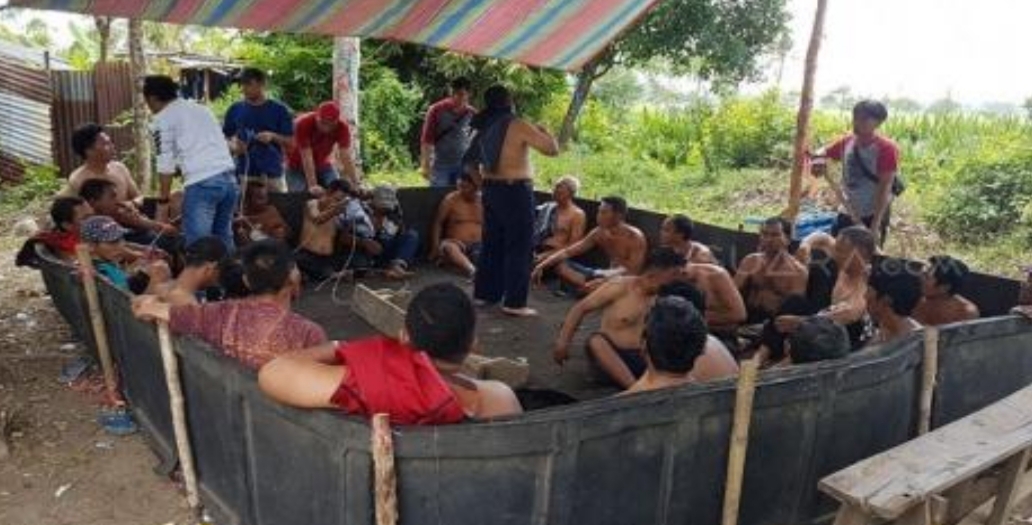 Abaikan Wabah Corona, Warga Ramai-ramai Berjudi Sabung Ayam 