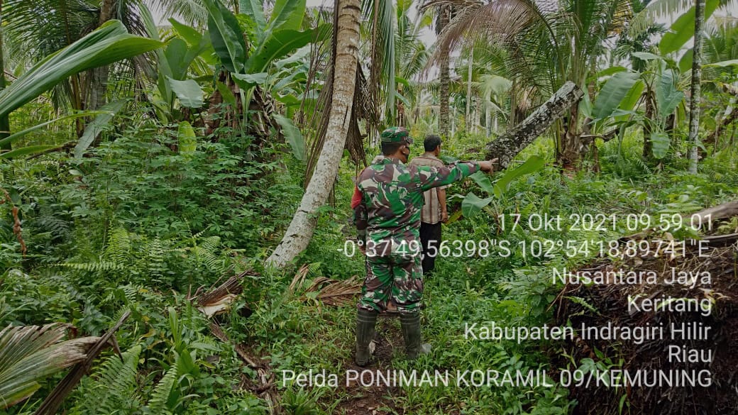 Upaya Mencegah Karhutla, Babinsa 09/Kemuning Lakukan Patroli di Desa Nusantara Jaya