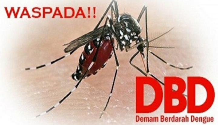 Waspada...! DBD di Pekanbaru Capai 458 Kasus, 7 Orang Masih Dirawat