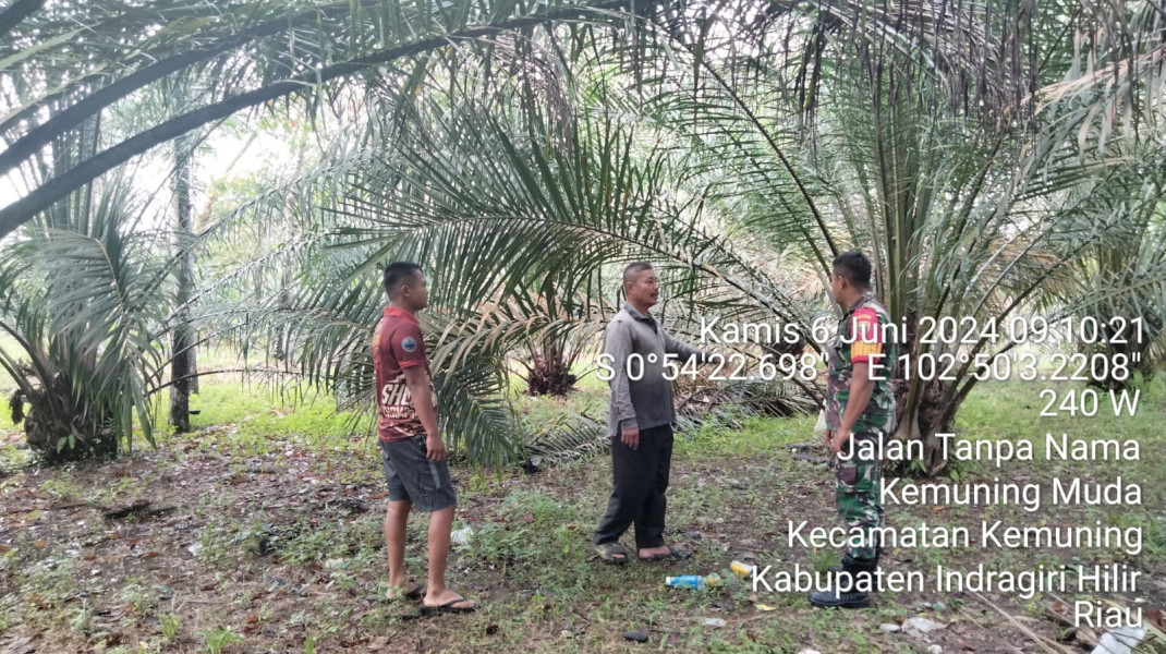Babinsa Koramil 09/Kmg Lakukan Pemantauan Terhadap Karhutla di Binaan