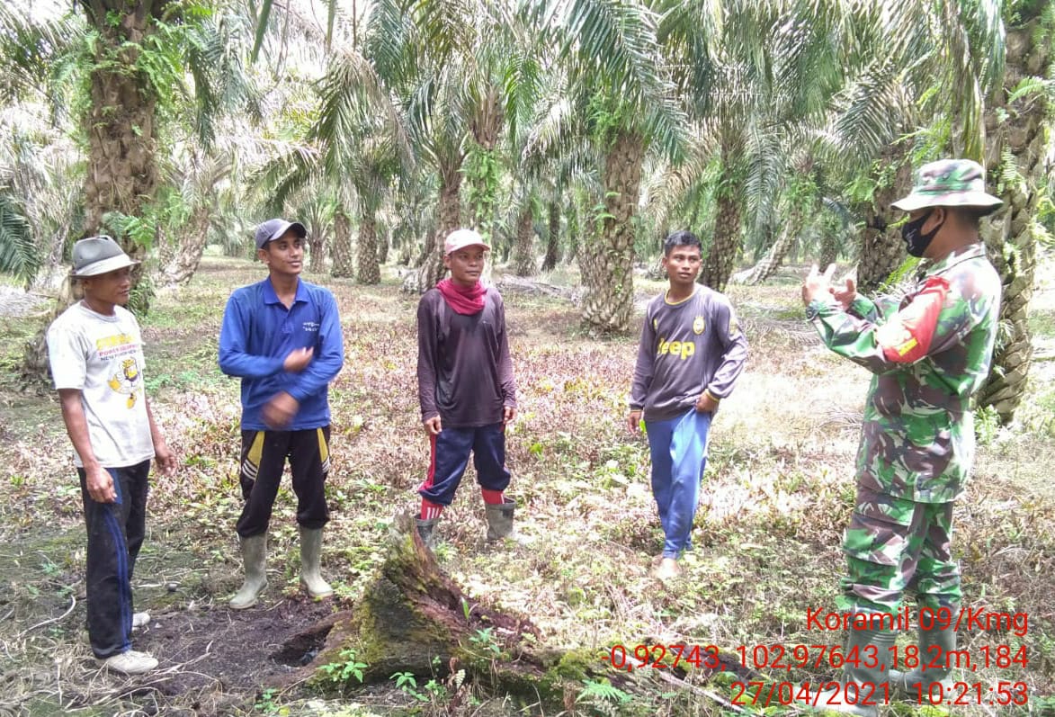Personil Koramil 09/Kemuning Kembali Lakukan Patroli Karhutla bersama Warga
