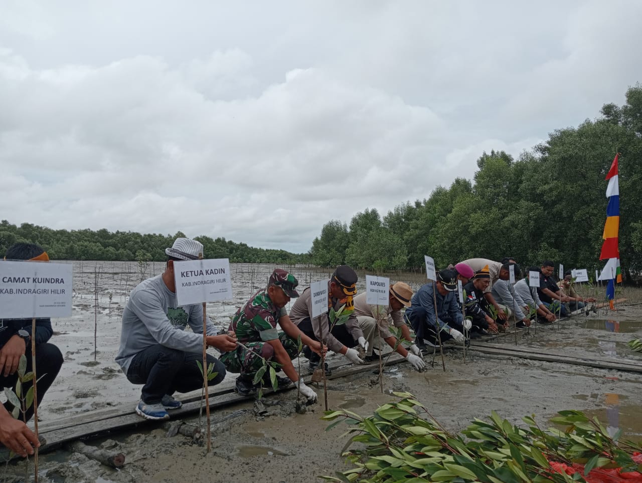 Babinsa Koramil 04/Kuindra Melaksanakan Kunjungan Hari Mangrov Sedunia