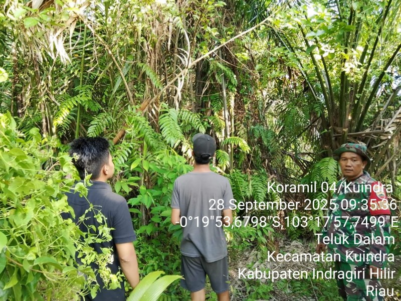 Babinsa Koramil 04/Kuindra Laksanakan Patroli Tapal Batas untuk Mengantisipasi Karhutla Secara Rutin