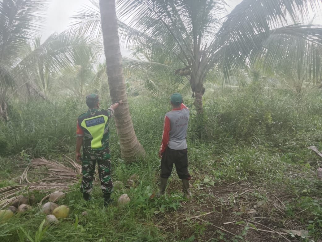 Bersama Petani, Babinsa Koramil 04/Kuindra Tetap Turun Ke Wilayah Lakukan Patroli