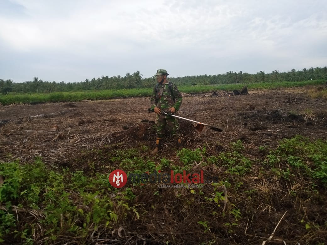 Serma Ardi Kusno Koramil 06/Kateman Lakukan Pemeliharaan Demplot Tanaman