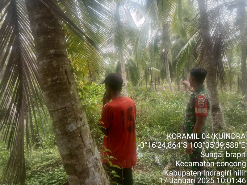 Koramil 04/Kuindra Gelar Patroli Karhutla di Sungai Brapit Parit 05