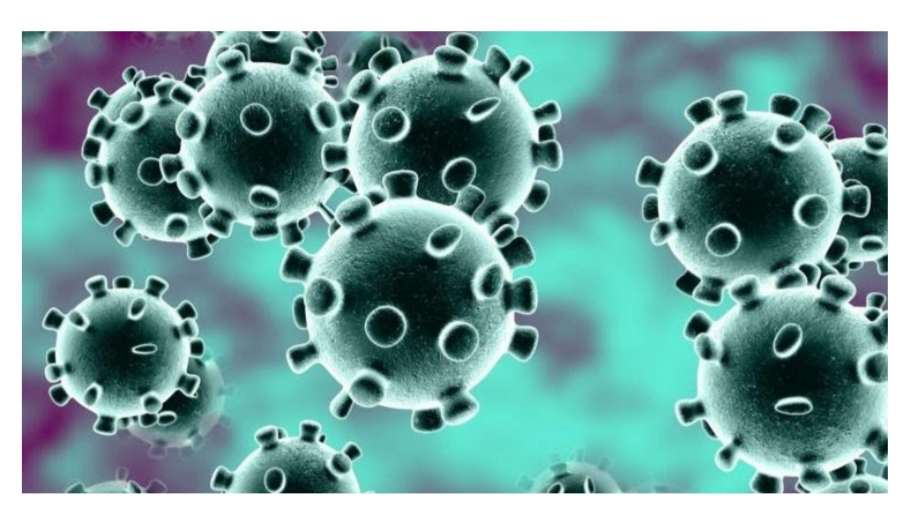 Kabar Baik, UPDATED CORONA DI RIAU : Dari 74, Sudah 46 Pasien Positif Corona Sembuh