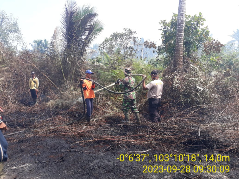 Masuki Hari Kedua Babinsa 05/Gas Masih Berjibaku Padamkan Karhutla Di Desa Belantaraya