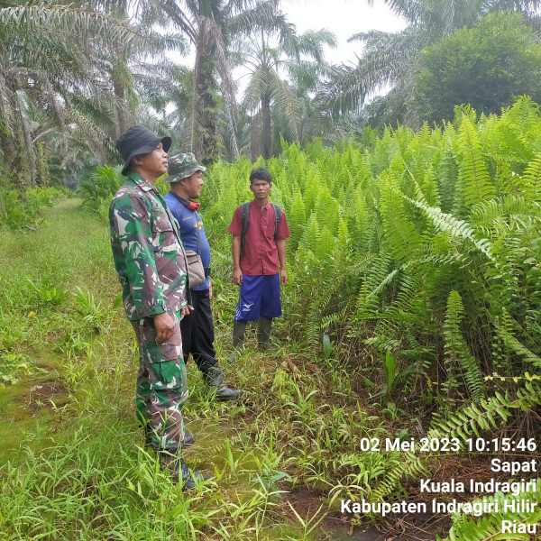 Babinsa Koramil 04/Kuindra Selalu Lakukan Patroli dan Sosialisasi Karlahut