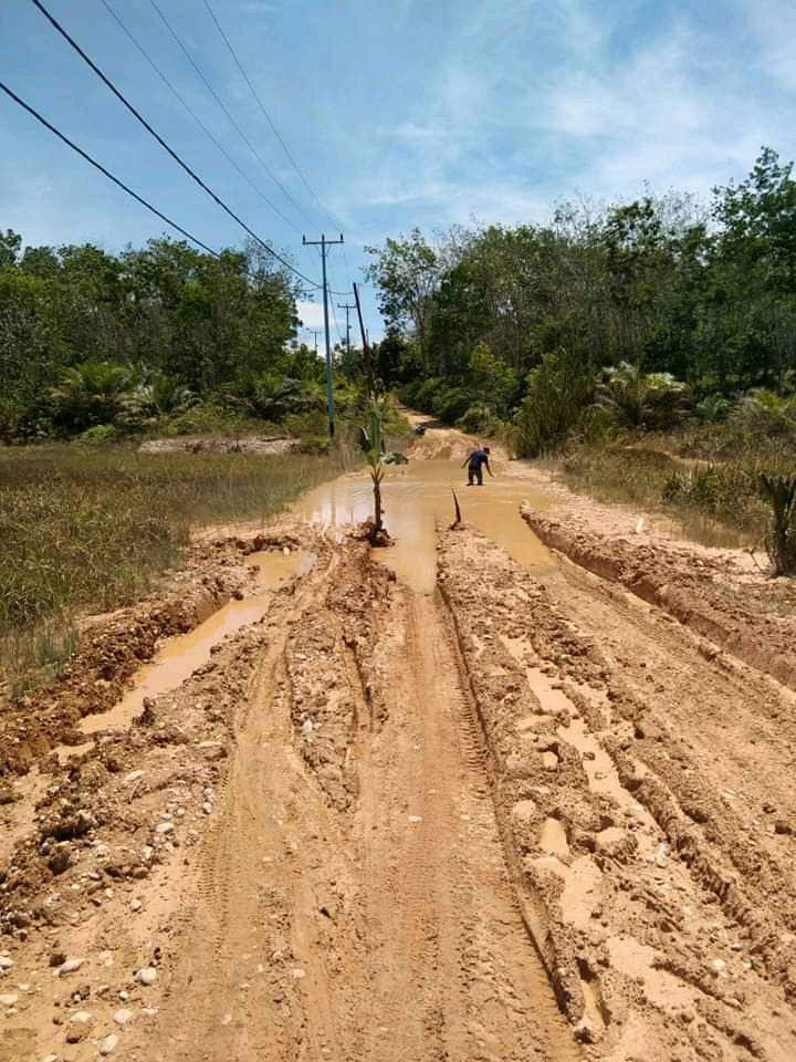 Plt Bupati Suhardiman Amby Tugaskan PUPR Segera Lakukan Perbaikan Jalan Rawang Ogung-Teratak Jering