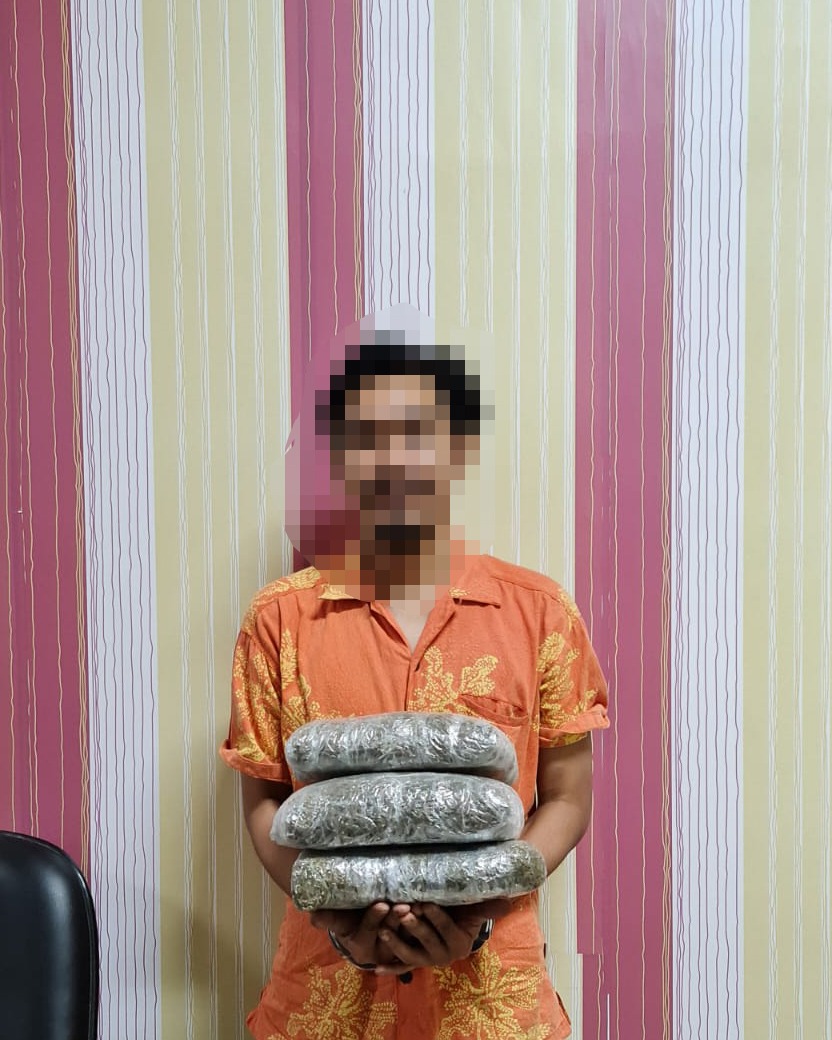 Kurang dari Sepekan, Bea Cukai Batam Gagalkan Pengiriman Dua Paket Ganja