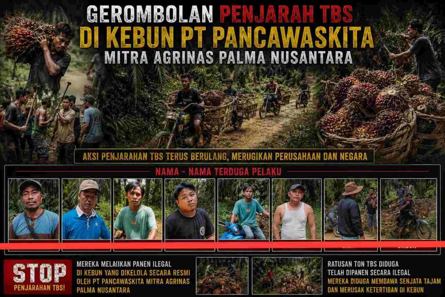 Diduga Beraksi Terang-terangan, Gerombolan Nasrun Sitepu dan Kani Dilaporkan Lagi ke Polisi