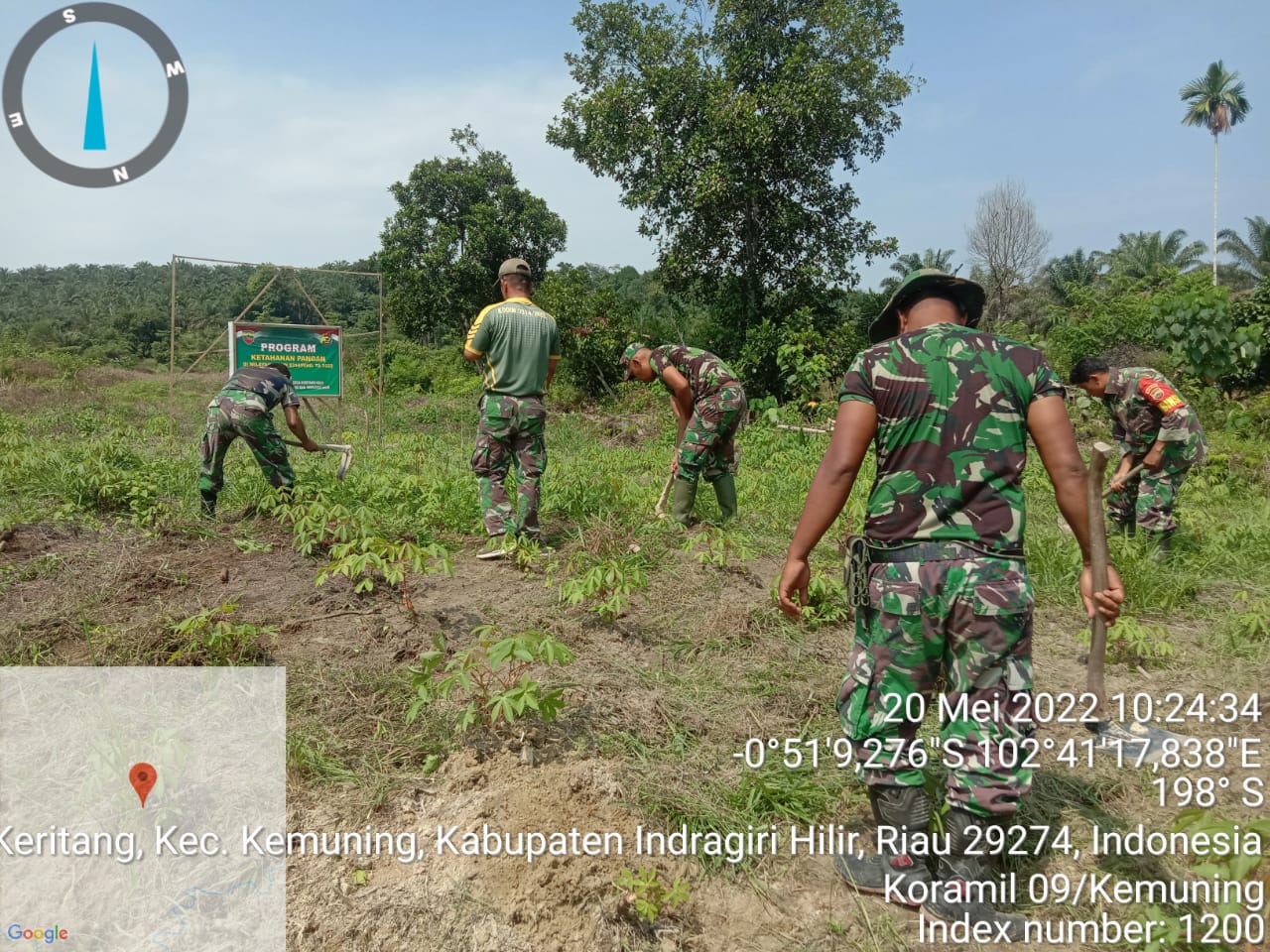 Giat Lakukan Penanaman Ketahanan Pangan di Wilayah Koramil 09/Kemuning