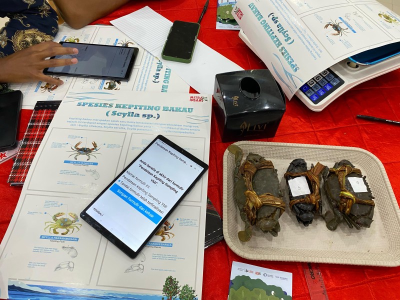 Pemanfaatan teknologi dalam mendukung monitoring perikanan Kepiting Bakau di Kabupaten Indragiri Hilir