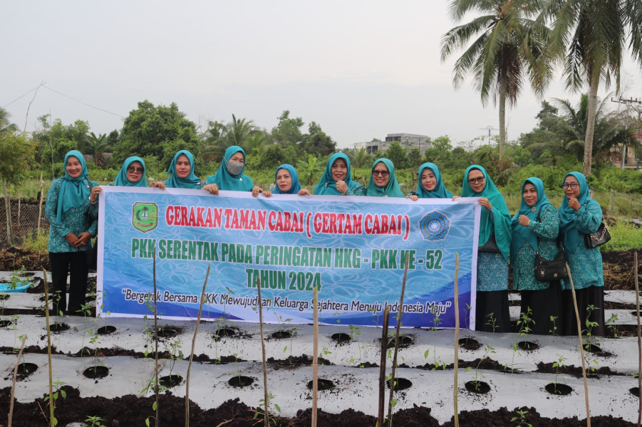 Sempena Hari Kesatuan Gerak, Hj Ismiatun Asmar Pimpin PKK Meranti Ikuti Gerakan Tanam Cabai Serentak