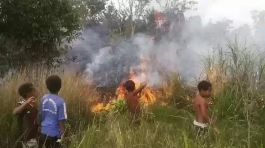 Aksi Heroik Bocah Papua Padamkan Kebakaran Hutan Tuai Pujian