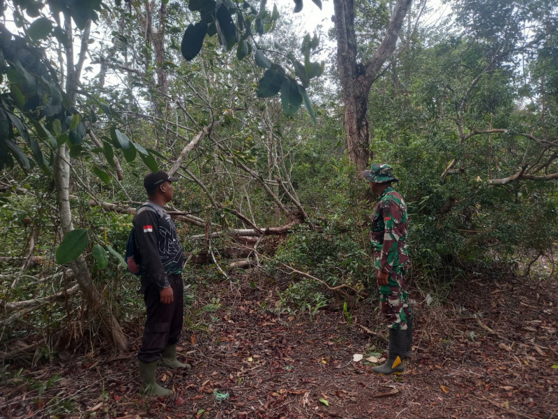 Cegah Kebakaran, Babinsa 05/Gas Pratu Sandi Wahyudi Gencar Laksanakan Patroli Hutan dan Lahan di Wilayah Binaan