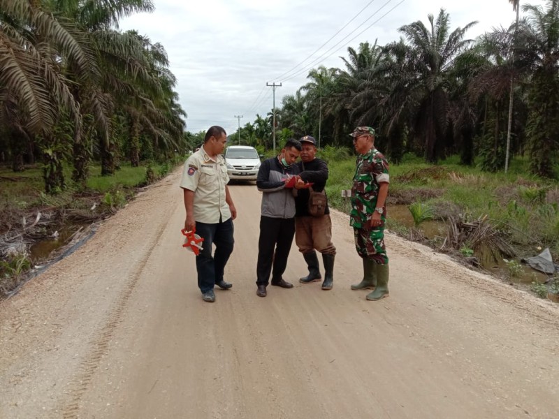 Pembangunan Jalan Poros Mumpa-Karya Tunas Jaya: Meningkatkan Aksesibilitas dan Ekonomi Masyarakat