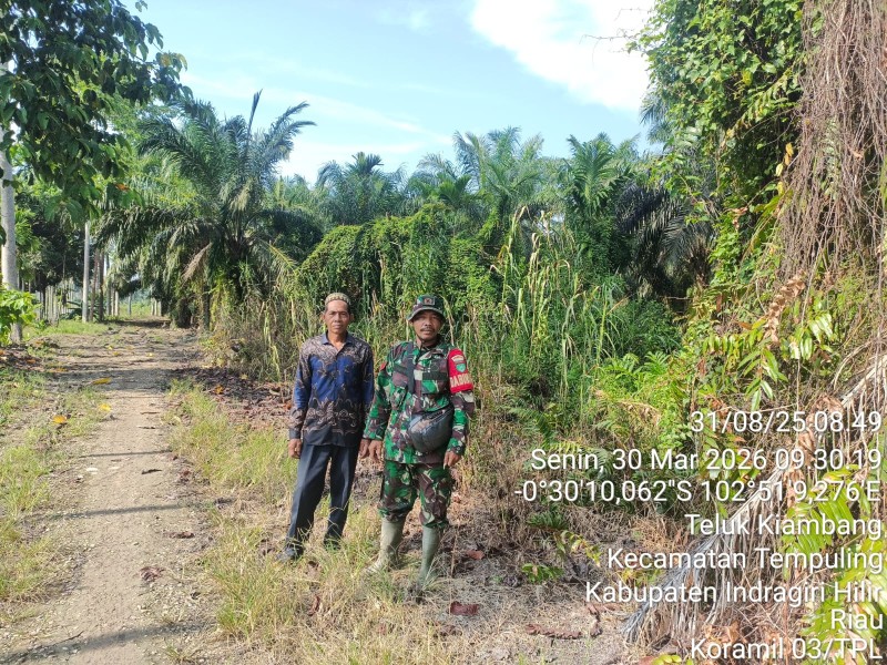 Babinsa Koramil 03/Tpl Laksanakan Patroli Tapal Batas, Pastikan Nihil Titik Api di Desa Teluk Kiambang