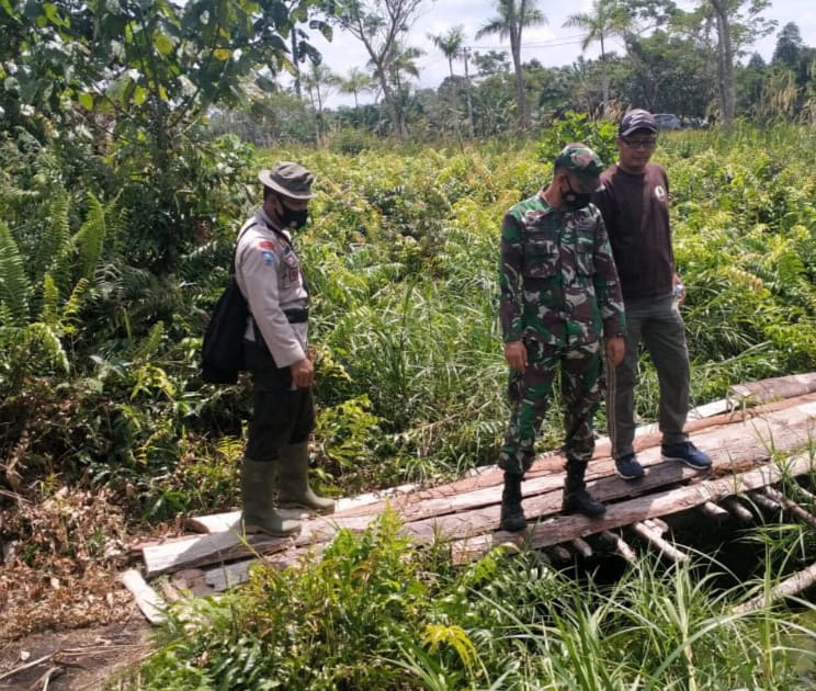 Serda Darwis Babinsa Koramil 03/Siak Laksanakan Patroli Lahan Rawan Kebakaran Dan Pengecekan Kanal A Serda Darwis Babinsa Koramil 03/Siak Laksanakan Patroli Lahan Rawan Kebakaran Dan Pengecekan Kanal A