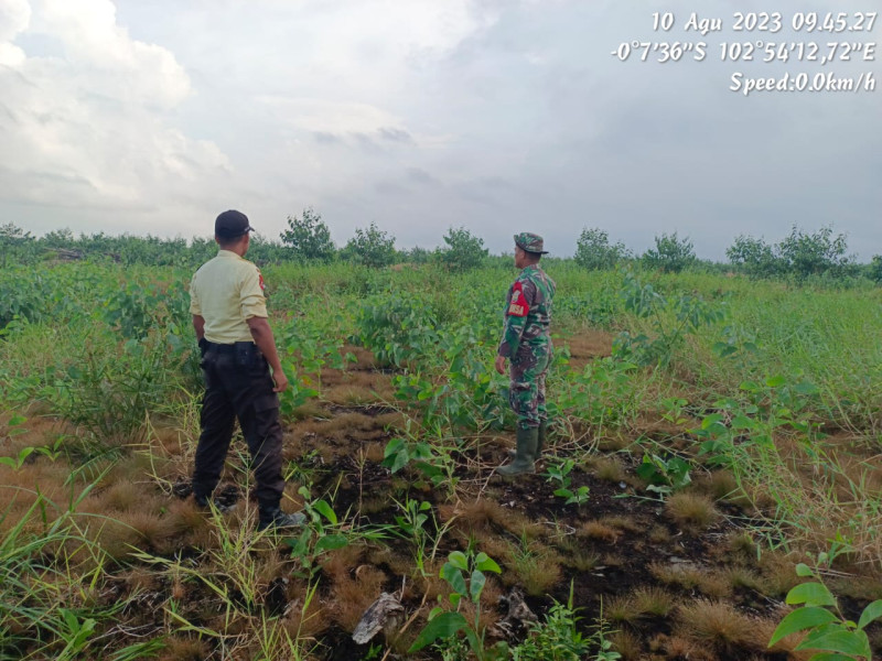 Bhabinsa 05/Gas Kopda Chandra Manto Lakukan Patroli dan Antisipasi Karhutla di Daerah Binaan