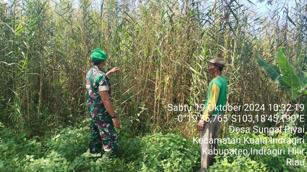 Babinsa Koramil 04/Kuindra Giat Lakukan Pemantauan Terhadap Lahan dan Hutan Warga Agar Cegah Kebakaran